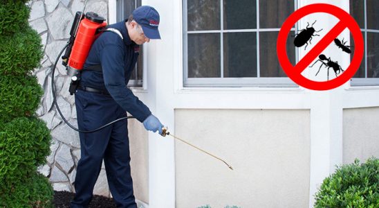 Göksun Dezenfeksiyon böcek ilaçlama ve haşere kontrolü — ilaclama-tr.com